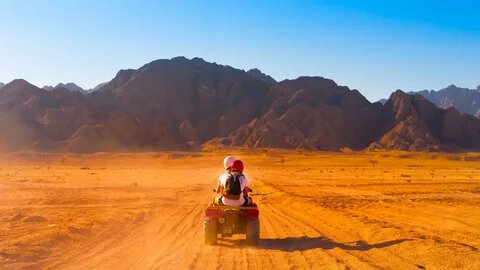 WÜSTENTOUR AB MARSA ALAM | 3-STÜNDIGE QUAD TOUR + KAMELRITT