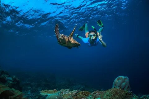 EGYPT ABU DABBAB SCHNORCHEL-AUSFLUG| SCHWIMMEN MIT SCHILDKRÖTEN